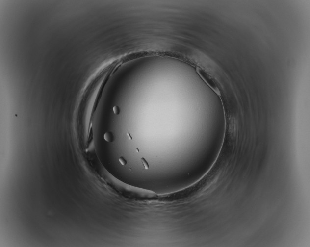 X0000088180676200705221643