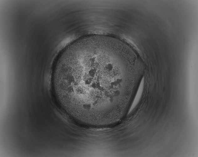 X0000088180679200705221643