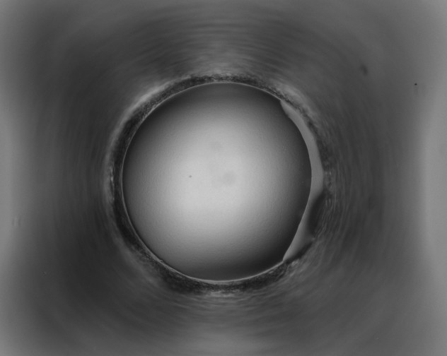 X0000088180680200705221643