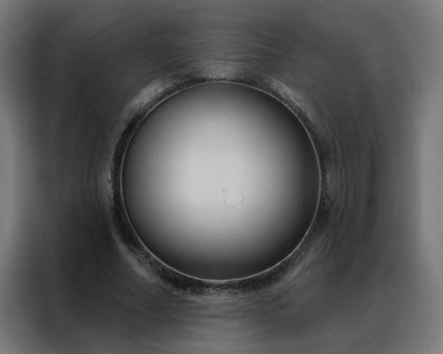 X0000088180682200705221643
