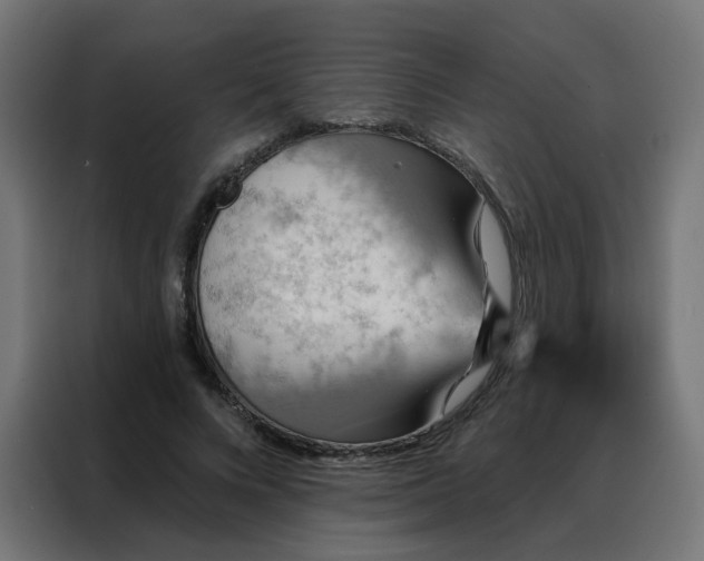 X0000088180688200705221642
