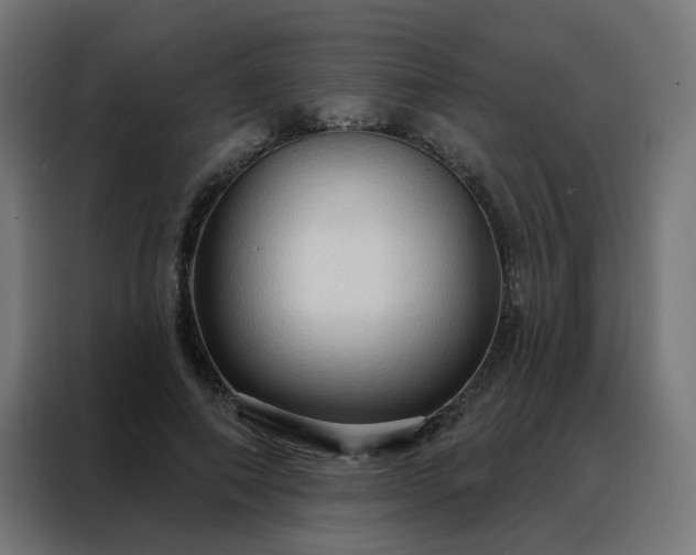 X0000088180690200705221642