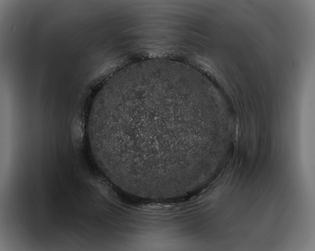 X0000088180691200705221642