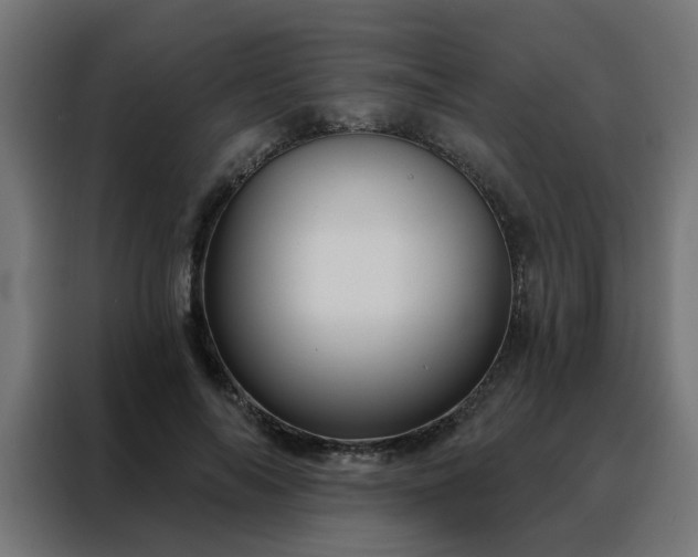 X0000088180694200705221642