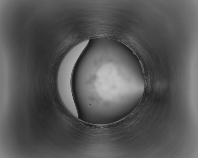 X0000088180696200705221642