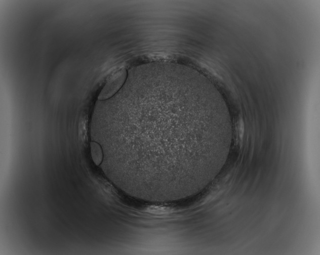 X0000088180699200705221642