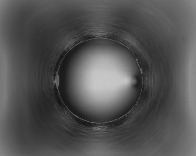 X0000088180700200705221642
