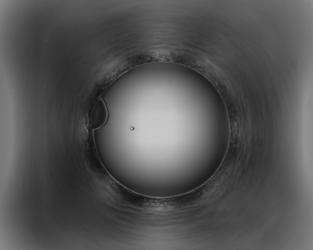 X0000088180702200705221642
