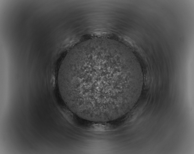 X0000088180703200705221642