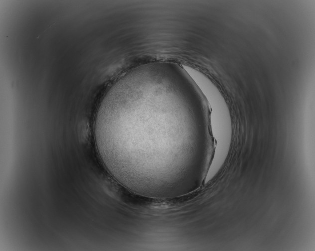 X0000088180704200705221642