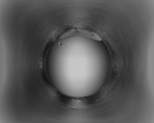 X0000088180706200705221642