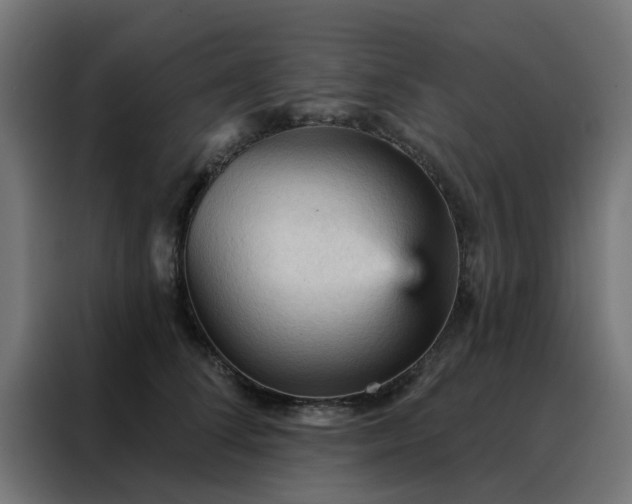 X0000088180708200705221642
