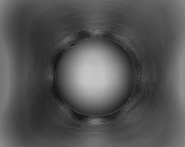 X0000088180710200705221642