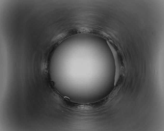 X0000088180714200705221642