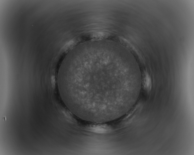 X0000088180716200705221642