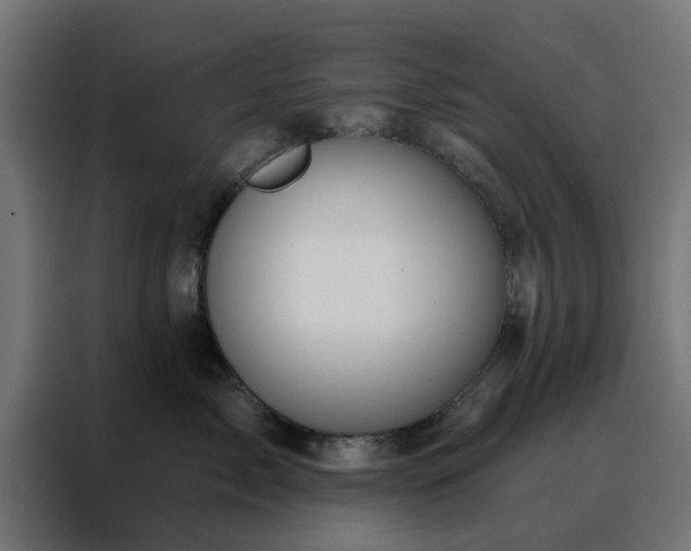X0000088180717200705221642