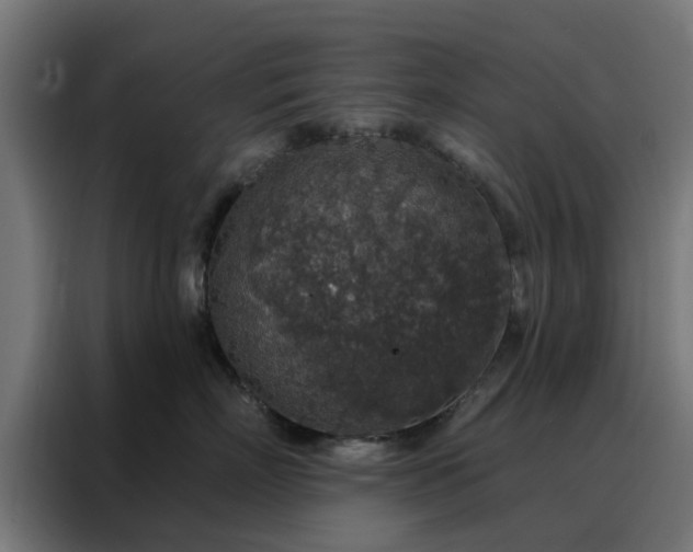 X0000088180718200705221642