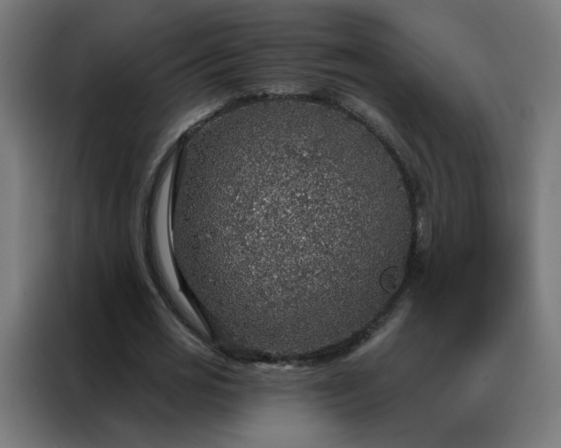 X0000088180725200705221642