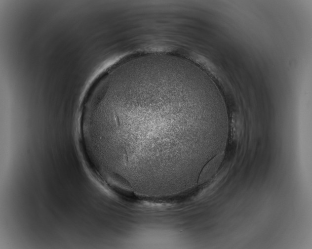 X0000088180726200705221642