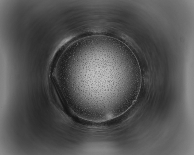 X0000088180727200705221642