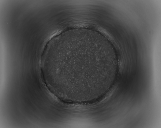 X0000088180729200705221642