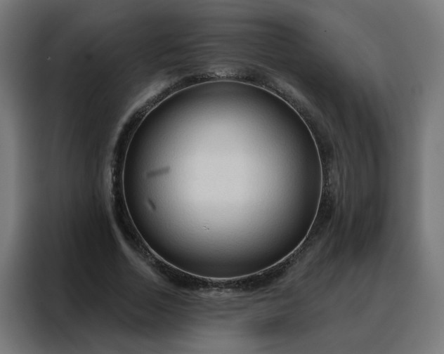 X0000088180730200705221642