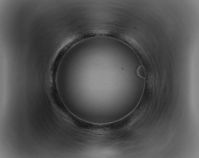 X0000088180731200705221642