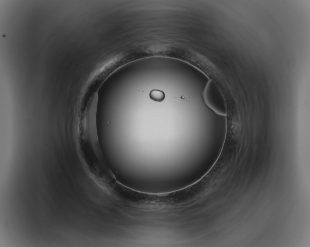 X0000088180732200705221642