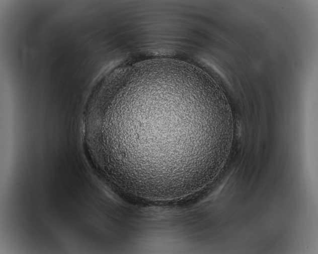 X0000088180733200705221642