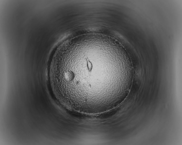 X0000088180734200705221642