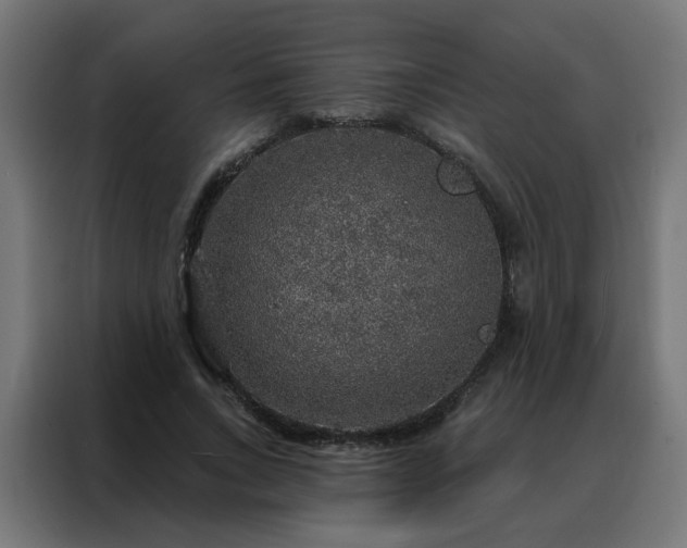 X0000088180735200705221642