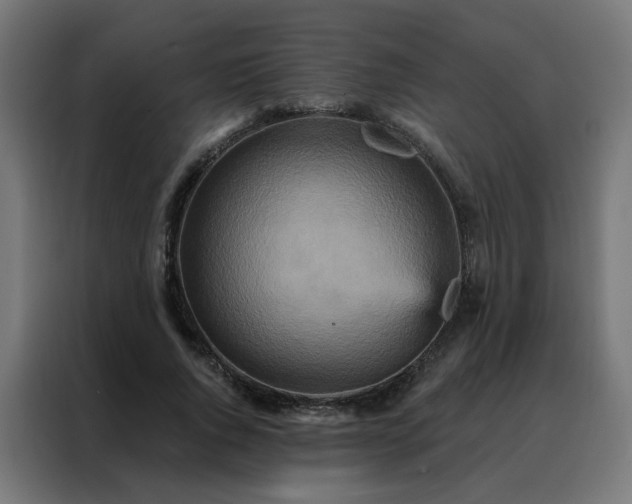X0000088180736200705221642
