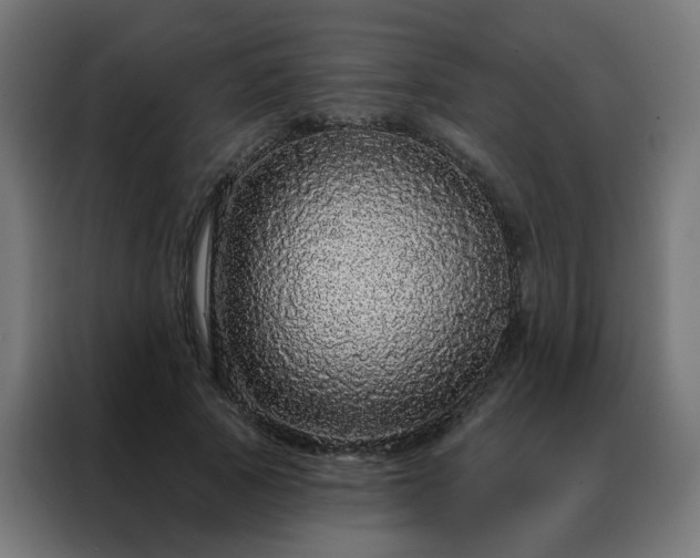 X0000088180737200705221642