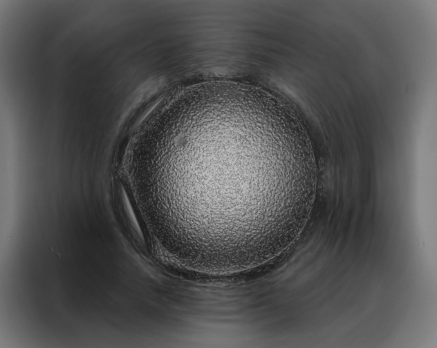X0000088180738200705221642