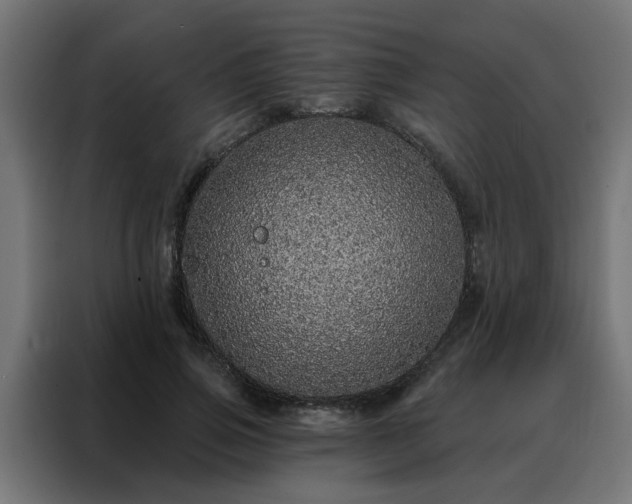 X0000088180741200705221642