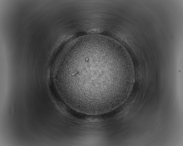 X0000088180742200705221642