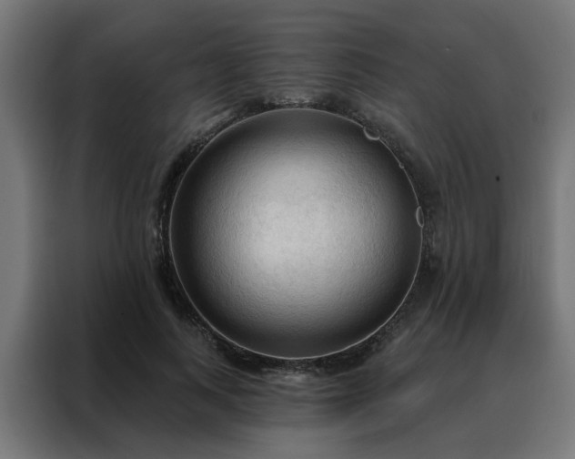 X0000088180743200705221642
