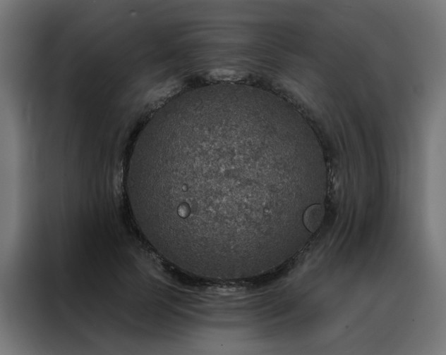 X0000088180745200705221642