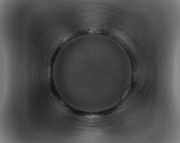 X0000088180748200705221642