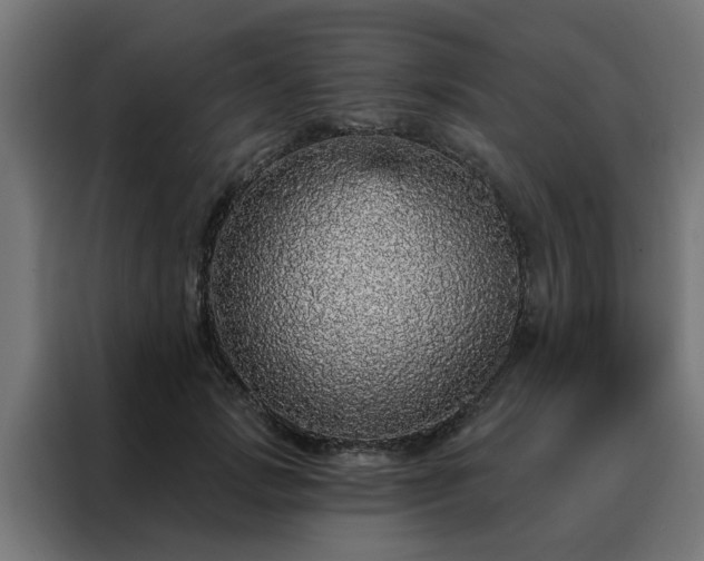 X0000088180749200705221642