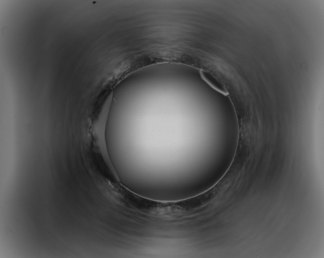 X0000088180752200705221642