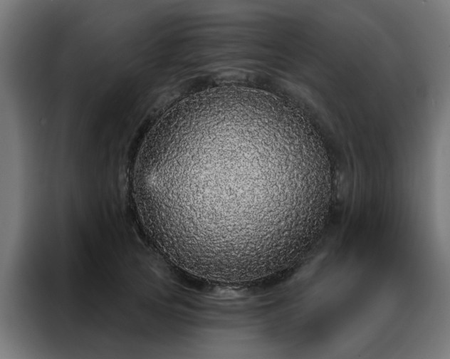 X0000088180753200705221642