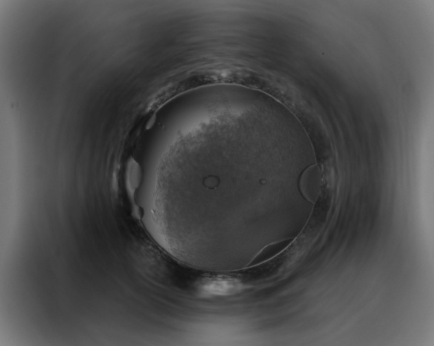 X0000088180754200705221642