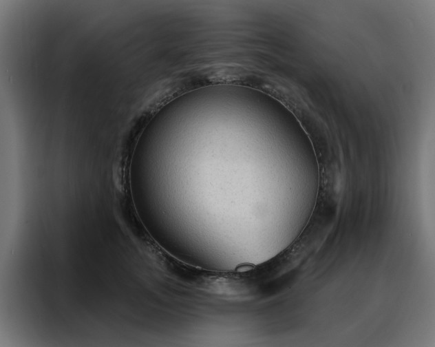 X0000088180755200705221642
