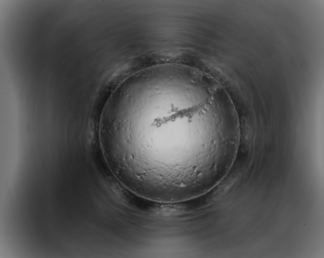 X0000088180758200705221642