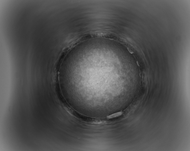 X0000088180760200705221642