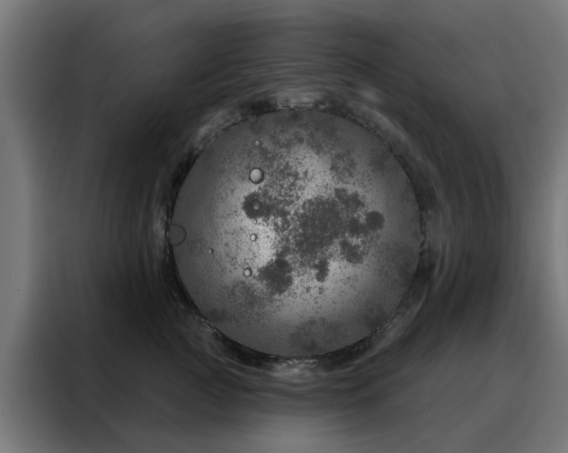 X0000088180761200705221642