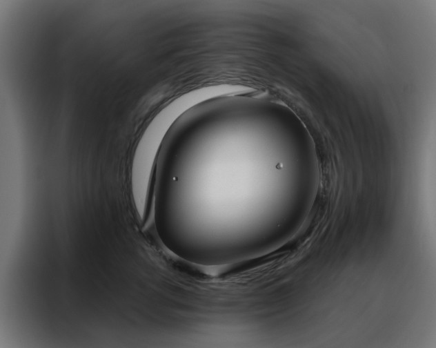 X0000088180762200705221642