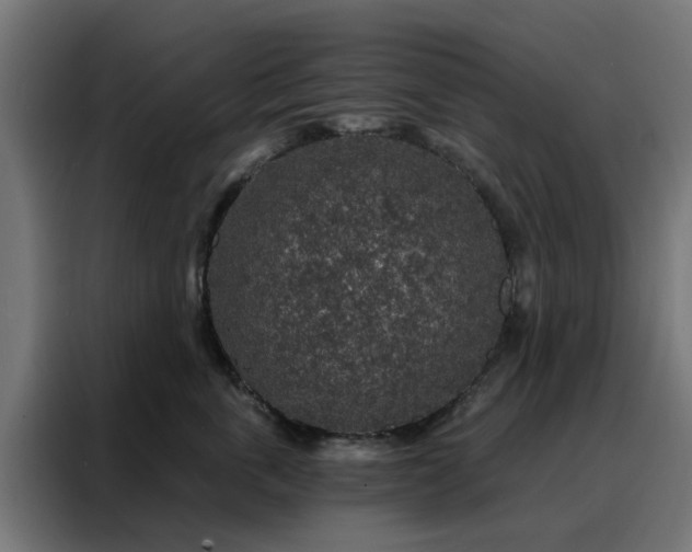 X0000088180763200705221642