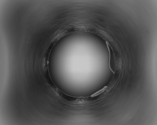 X0000088180764200705221642